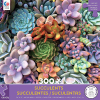 Succulents - Pastels 300pcXL (CEA2269-5)