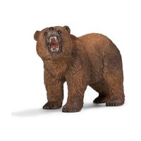 Grizzly Bear  SC14685