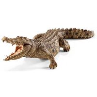  Crocodile (SC14736)