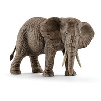 African Elephant Female SC14761