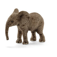  African Elephant Calf  SC14763