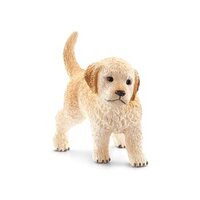  Golden Retriever Puppy  SC16396