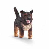  German Shepherd Puppy SC16832