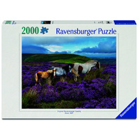 Wild Horses in the Heather 2000pcs Jigsaw (RB01751 6)