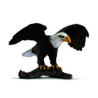  Bald Eagle  SC14780
