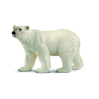 Polar Bear (SC14800)