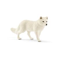  Actic Fox  SC14805