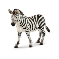 Zebra , Female SC14810