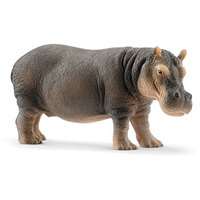 Hippoopotamus SC14814