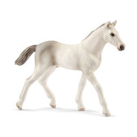  Holsteiner Foal  SC13860