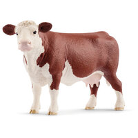 Hereford Cow SC13867