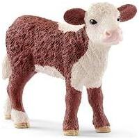  Hereford Calf  SC13868