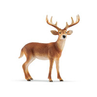 White Tailed Buck SC14818
