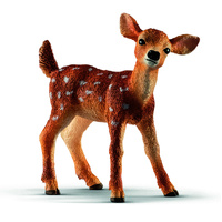 White-Tailed Fawn (SC14820)