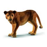 Lioness (SC14825)