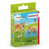  Shiba Inu Mother and Puppy  SC42479