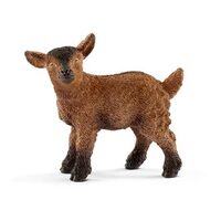 Goat Kid SC13829