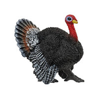 Turkey SC13900