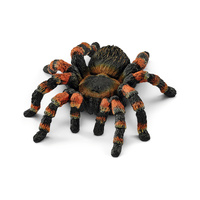 Tarantula (SC14829)