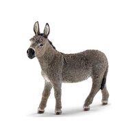 Donkey SC13772