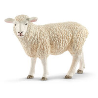 Sheep SC13882