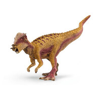  Pachycephalosaurus SC15024