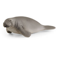  Manatee  SC14839