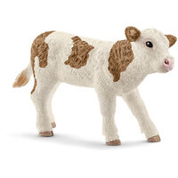 Simmental Calf 13802