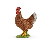 Hen SC13826
