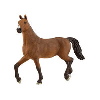  Oldenburger Mare SC13945
