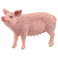 Pig SC13933