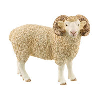 Ram SC13937