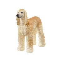  Afghan Hound  SC13938