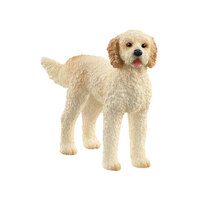 Goldendoodle SC13939