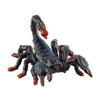  Emperor Scorpion  SC14857