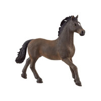  Oldenburger Stallion  SC13946
