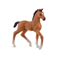  Oldenburger Foal  SC13947