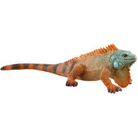 Iguana SC14854