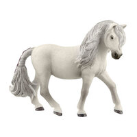  Iceland Pony Mare  SC13942