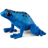  Blue Poison Dart Frog  SC14864
