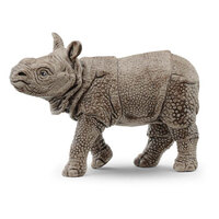  Indian Rhinoceros Baby  SC14860
