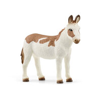 American Spotted Donkey SC13961
