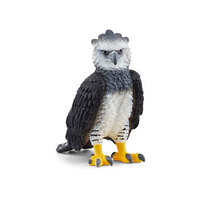  Harpy Eagle  SC14862