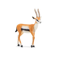  Thomson Gazelle  SC14861