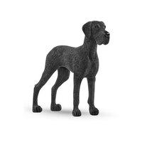  Great Dane  SC13962