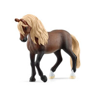  Peruvian Paso Stallion SC13952
