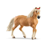  Haflinger Mare  SC13950