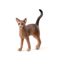  Abyssinian Cat SC13964
