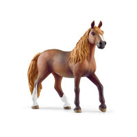  Peruvian Paso Mare SC13953