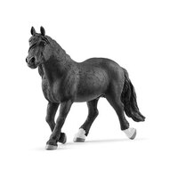  Noriker Stallion  SC13958